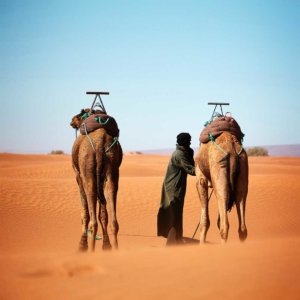 Viaggiamo sulle orme del deserto con Berberi e Nomadi in Marocco